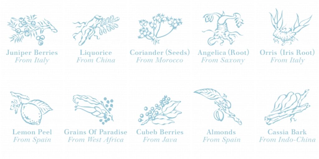 10 loại thực vật của Bombay sapphire gin