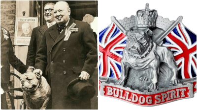 Sir Winston Churchill (1874–1965) - tinh thần “Bulldog Spirit”