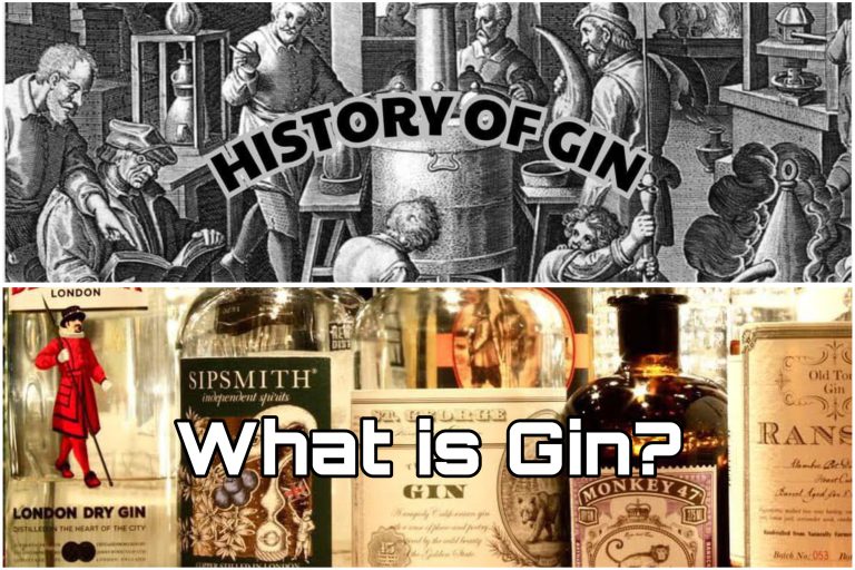 Rượu Gin là gì? Nguồn gốc và lịch sử phát triển