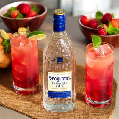 Seagram's extra dry gin