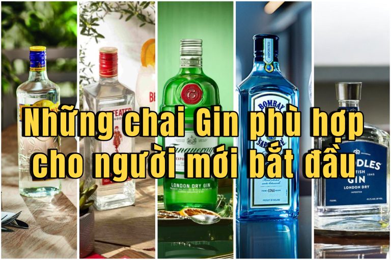 Giới thiệu cơ bản về 5 chai Gin dành cho người mới bắt đầu