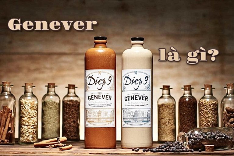 Tìm hiểu về Genever
